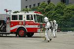 Dcim4153/DSC_2593