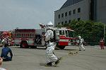 Dcim4153/DSC_2595
