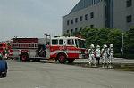 Dcim4153/DSC_2632