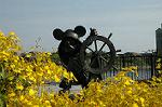 Dcim4164/DSC_3537