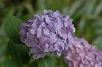 Dcim4173/DSC_3902