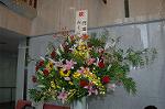 Dcim4178/DSC_4366