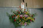 Dcim4178/DSC_4370