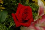 Dcim4178/DSC_4383