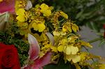 Dcim4179/DSC_4406