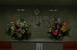 Dcim4179/DSC_4412