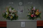 Dcim4179/DSC_4413