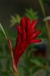 Dcim4179/DSC_4444