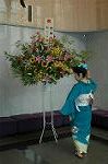Dcim4179/DSC_4464
