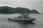 Dcim4188/DSC_5529