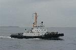Dcim4195/DSC_3482