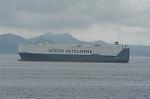 Dcim4195/DSC_3502