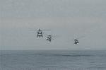 Dcim4196/DSC_3613