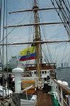 Dcim4203/DSC_6484