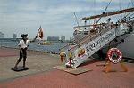 Dcim4203/DSC_6520