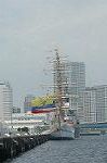 Dcim4203/DSC_6550