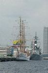 Dcim4203/DSC_6554