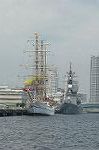 Dcim4203/DSC_6556