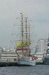 Dcim4203/DSC_6560