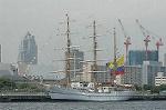 Dcim4203/DSC_6561