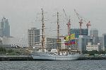 Dcim4203/DSC_6563
