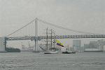 Dcim4206/DSC_0115