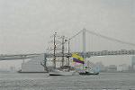 Dcim4206/DSC_0117