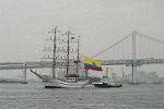 Dcim4206/DSC_0118