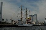 Dcim4207/DSC_0223
