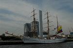 Dcim4207/DSC_0228