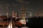 Dcim4208/DSC_0248