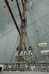 Dcim4218/DSC_7597