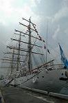 Dcim4219/DSC_7773