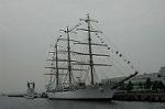 Dcim4221/DSC_7797