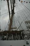 Dcim4222/DSC_7924