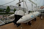 Dcim4223/DSC_4110