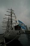 Dcim4223/DSC_4174