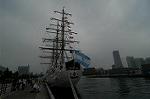 Dcim4223/DSC_4184