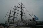 Dcim4223/DSC_4195