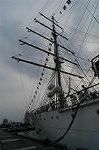 Dcim4224/DSC_4221