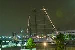 Dcim4225/DSC_0419