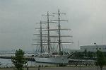 Dcim4226/DSC_7988
