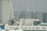 Dcim4226/DSC_8013