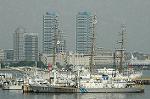 Dcim4226/DSC_8016
