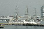 Dcim4226/DSC_8017