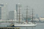 Dcim4226/DSC_8019