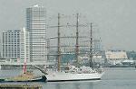 Dcim4226/DSC_8020