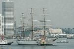 Dcim4226/DSC_8026