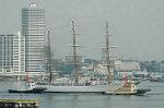 Dcim4226/DSC_8033