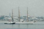 Dcim4226/DSC_8035